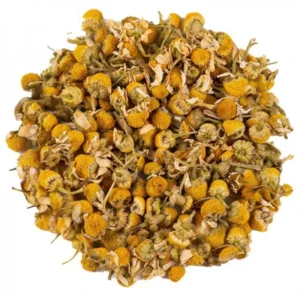 Camomille Matricaire