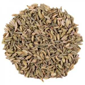 Fenouil